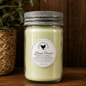 Pint Sized Vintage Mason Jars